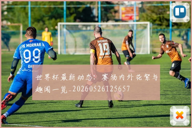 世界杯最新动态：赛场内外花絮与趣闻一览_20260526125657
