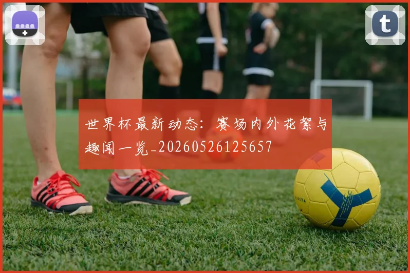 世界杯最新动态:赛场内外花絮与趣闻一览_20260526125657
