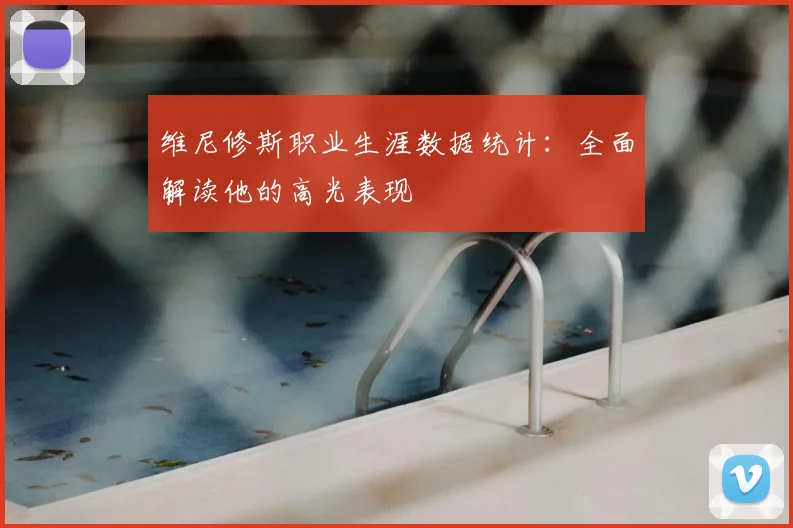 维尼修斯职业生涯数据统计：全面解读他的高光表现